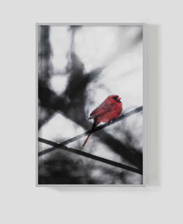 Frame_for_your_work_birdie2a