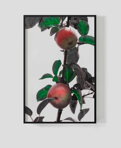 Frame_for_your_work_orchard2
