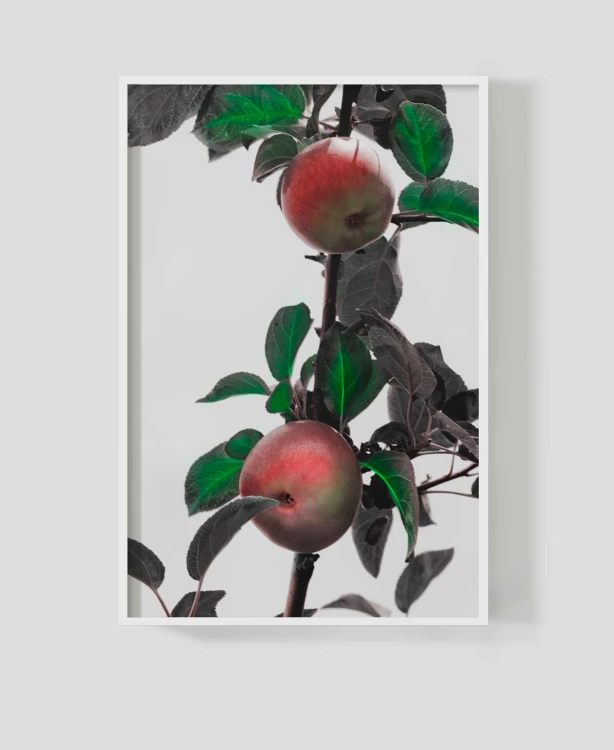 Frame_for_your_work_orchard