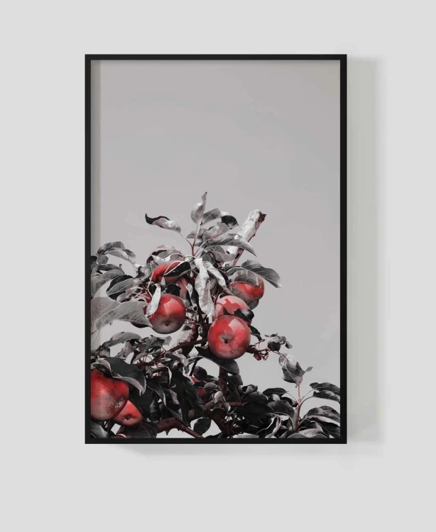 Frame_for_your_work_orch_4