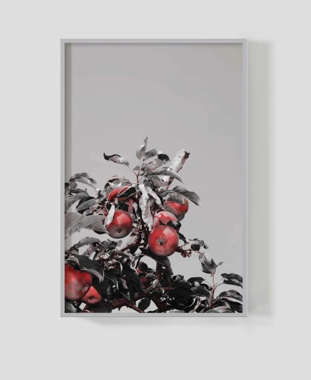 Frame_for_your_work_orch_4a