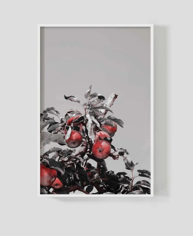 Frame_for_your_work_orch_4b