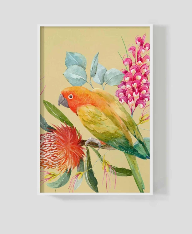 Frame_for_your_work_papuga8a