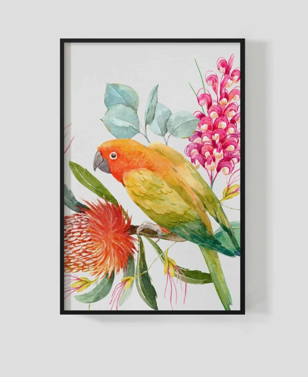 Frame_for_your_work_papuga6b