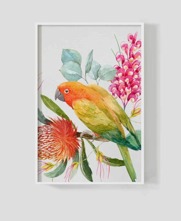 Frame_for_your_work_papuga6a