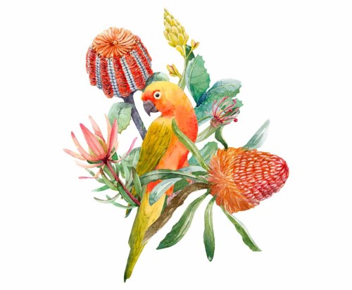 Papuga-kolorowa-naklejka-na-sciane-z-kwiatami-rosliny-egzotycznymi-botaniczne-pomaranczowa-akwarelowa