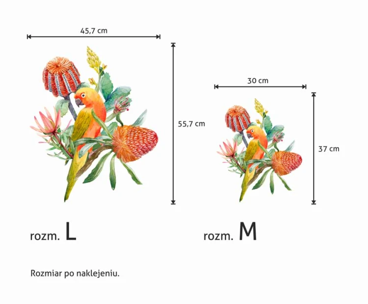 Papuga-kolorowa-naklejka-na-sciane-z-kwiatami-egzotycznymi-botaniczne-pomaranczowa-akwarelowa-rozmiar