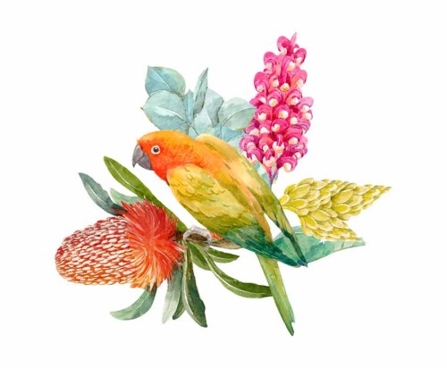 Papuga-schylona-kolorowa-naklejka-na-sciane-z-kwiatami-rosliny-egzotycznymi-botaniczne-pomaranczowa-akwarelowa