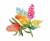 Papuga-schylona-kolorowa-naklejka-na-sciane-z-kwiatami-rosliny-egzotycznymi-botaniczne-pomaranczowa-akwarelowa