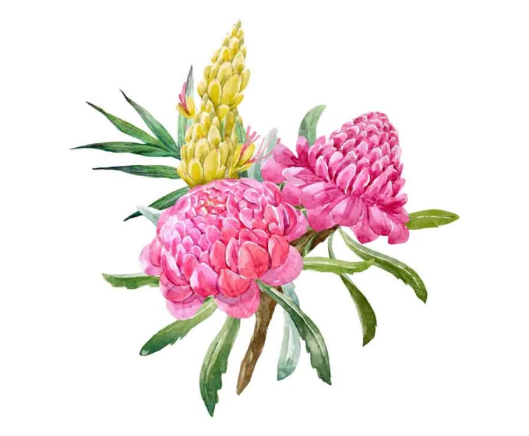 Kwiaty-rozowy-botaniczne-naklejka na ścianę