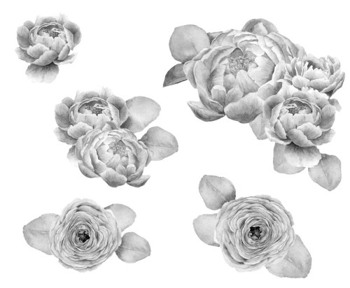 peonie-naklejka-na-sciane-kwiaty-czarno-biale-szare-rustykalne
