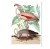 obraz-na-plotnie-na-sciane-do-salonu-botaniczny-z-flamingiem-bialy-vintage-retro-stary-encyklopedii-albumu-do-salonu