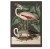 obraz-naplotnie-canvas-na-sciane-do-salonu-botaniczny-z-flamingiem-czarny-vintage-retro-stary-encyklopedii-albumu-do-salonu