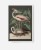 plakat-w-bialej-ramie-na-sciane-do-salonu-botaniczny-z-flamingiem-czarny-vintage-retro-stary-encyklopedii-albumu-do-salonu