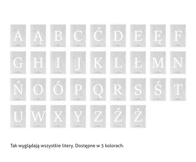 metryczka-minimalistyczna-elegancka-szara-jedana-litera-plakat-alfabet