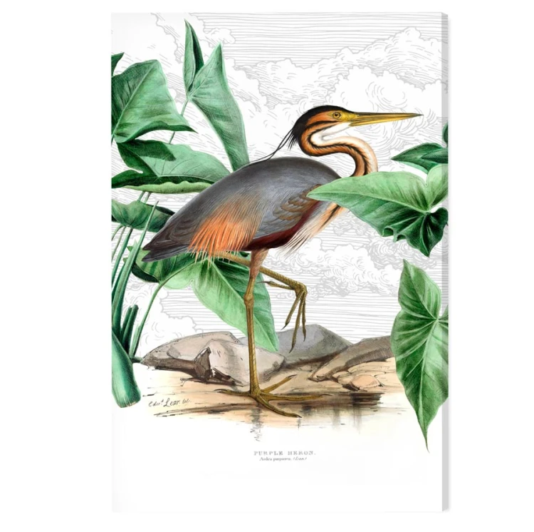 Purple-heron-ptak-vintage-flaming-botaniczny-obraz-na-sciane-na-tle-chmur-retro-stary-album-encyklopedia-do-salonu