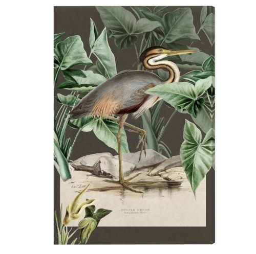 Plakat Heron vintage – czapla purpurowa wśród tropikalnych liści w stylu dawnej ryciny, ciemne grafitowe tło