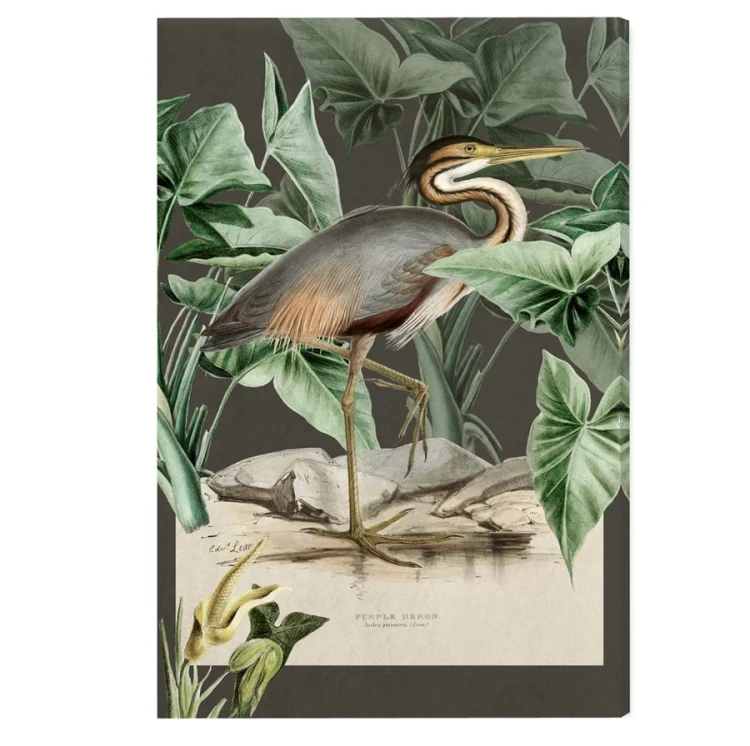 Purple-heron-bialy-ptak-vintage-flaming-botaniczny-obraz-na-sciane-na-tle-chmur-retro-stary-album-encyklopedia-do-salonu