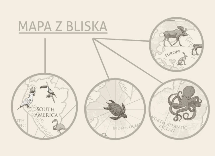 mapa-montessori-dla-dzieci-mlodziezy-na-sciane-plakat-obraz-tapeta1.jpg